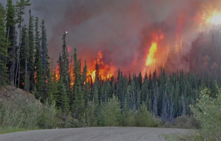سال گذشته آتش‌سوزی‌های جنگلی ۱۸۵ هزار کانادایی را آواره کرد